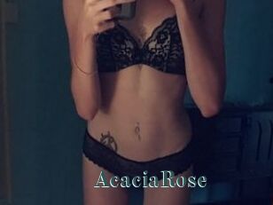 AcaciaRose