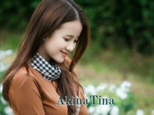 AkinaTina