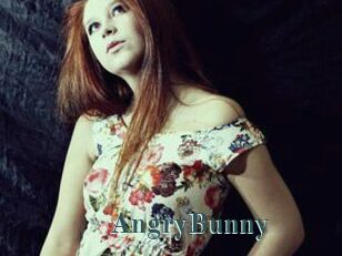 AngryBunny