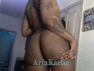 AriaKarter