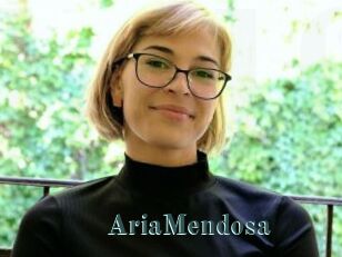 AriaMendosa