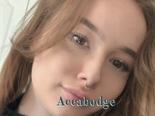 Accabodge
