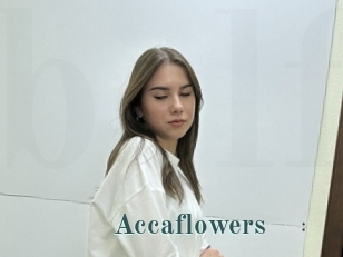 Accaflowers