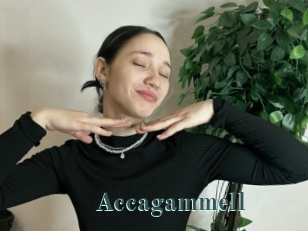Accagammell
