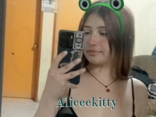 Aliceekitty