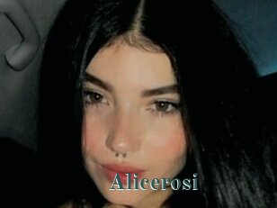 Alicerosi