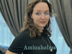 Aminaholms