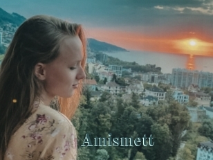 Amismett