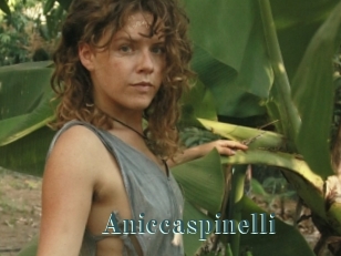 Aniccaspinelli