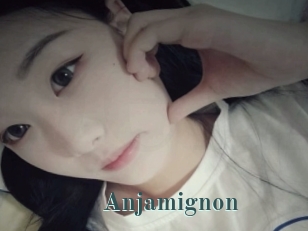 Anjamignon