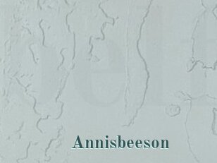 Annisbeeson