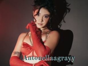 Antonellaagrayy