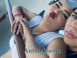 Antonellasoft