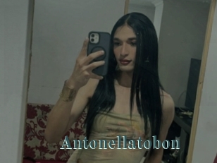 Antonellatobon