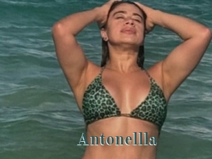 Antonellla
