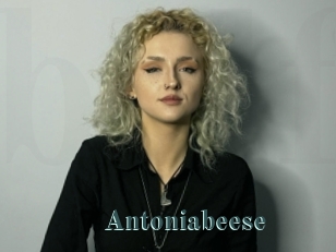 Antoniabeese