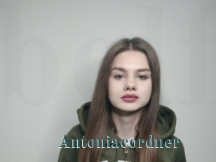 Antoniacordner