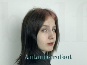 Antoniacrofoot