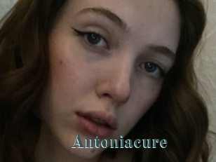 Antoniacure