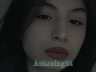 Antoniagitt