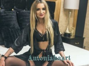 Antoniahaart