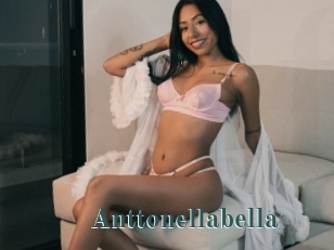 Anttonellabella
