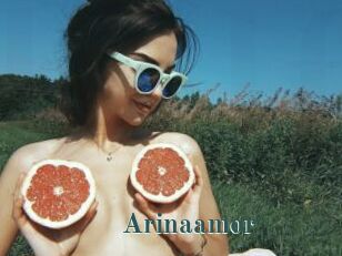 Arinaamor