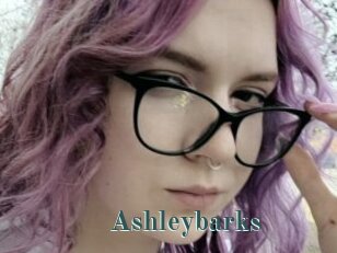 Ashleybarks