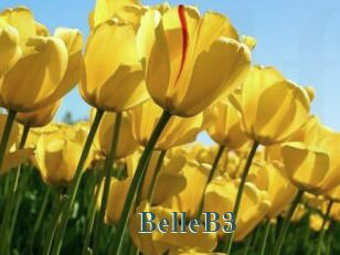 BelleB3
