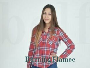 BurningFlamee