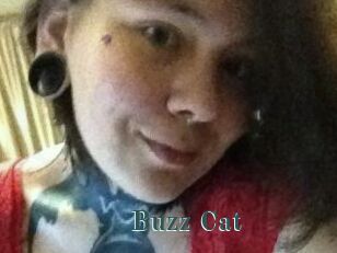 Buzz_Cat