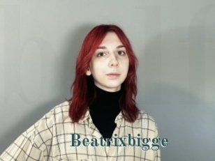 Beatrixbigge