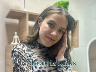 Beatrixburks