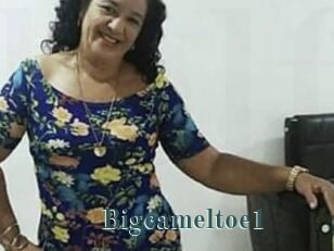 Bigcameltoe1