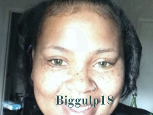 Biggulp18