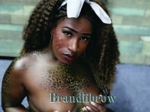 Brandiibrow
