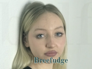 Breefudge