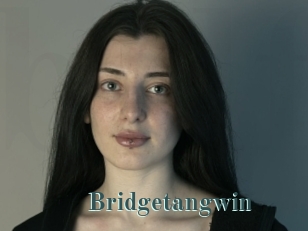 Bridgetangwin