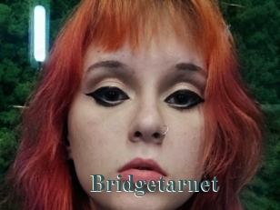 Bridgetarnet