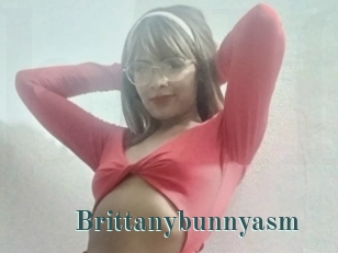 Brittanybunnyasm