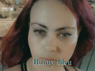 Bunny_bleu