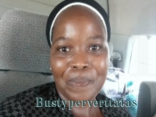 Bustyperverttatas