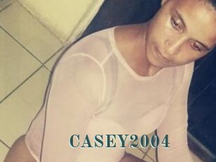 CASEY2004