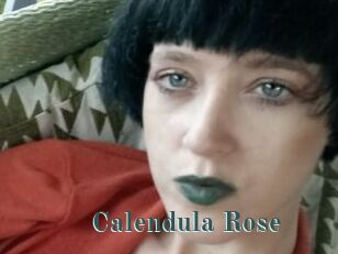 Calendula_Rose