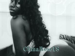 ChinaRose18