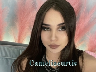 Cameliacurtis