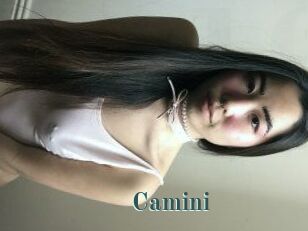 Camini