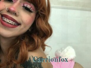 Carrionfox