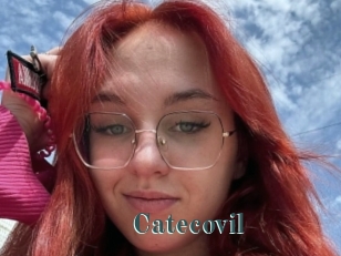 Catecovil