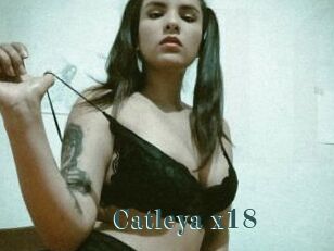 Catleya_x18